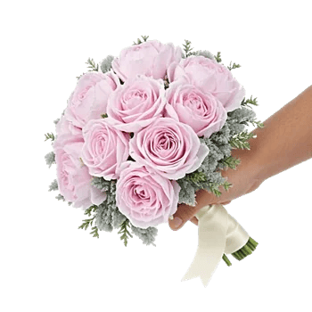 Pastel Pink Roses