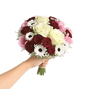 Delicate Petal Cascade