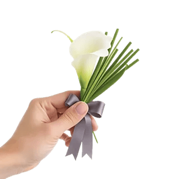 Elegant Calla Lilies