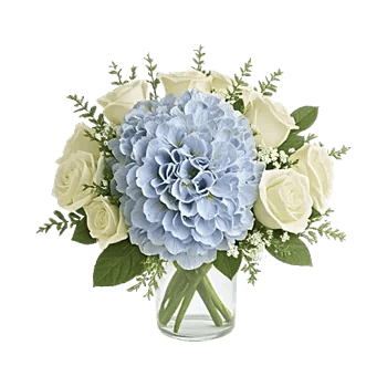 Serene Petal Harmony