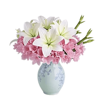 Ivory Blossom Radiance