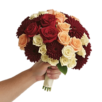 Crimson Blossom Harmony