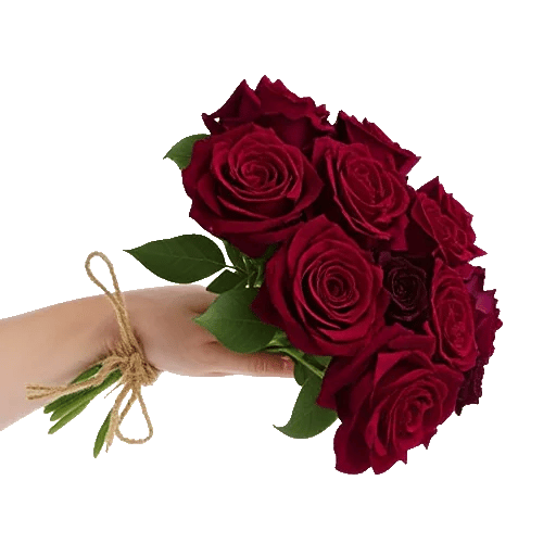 Crimson Rose Elegance