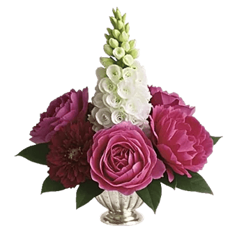 Ivory Blossom Radiance