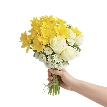 Blossom Harmony Display