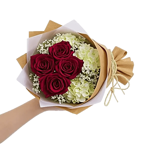 Crimson Rose Elegance