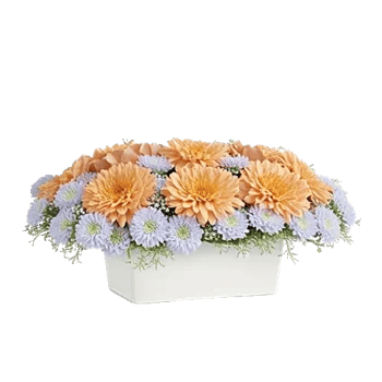 Delicate Petal Cascade