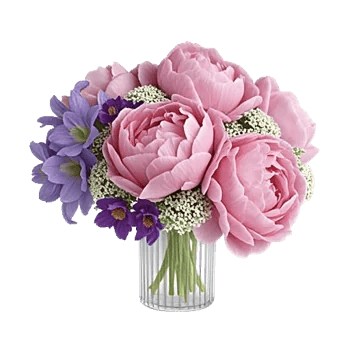 Petal Radiance Bliss