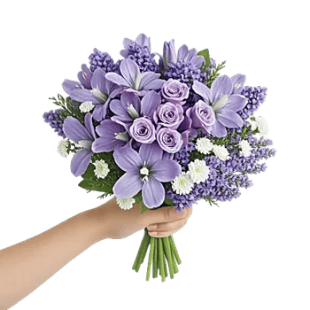 Blossom Harmony Display