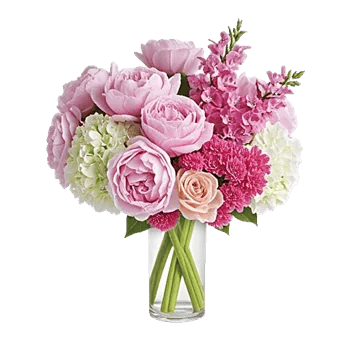 Petal Radiance Bliss