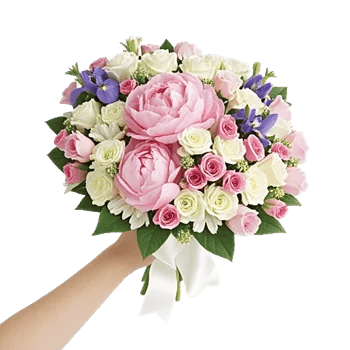 Peony Petal Harmony