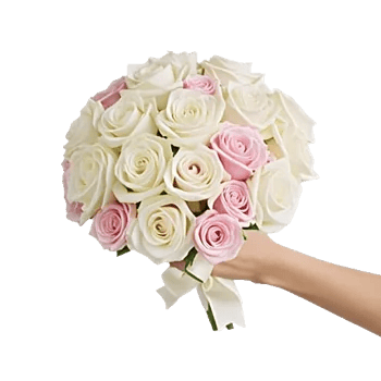 Ivory Garden Grace