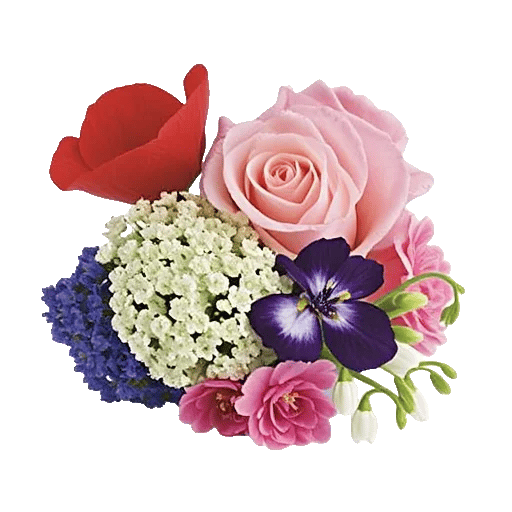 Ivory Blossom Radiance