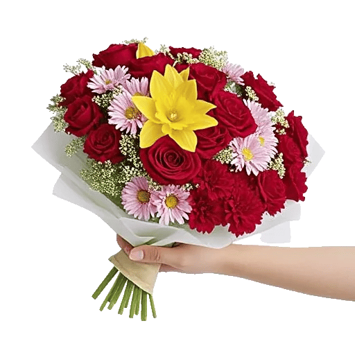 Blossom Harmony Display