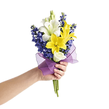 Elegant Calla Lilies