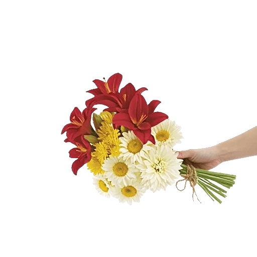 Crimson Blossom Harmony