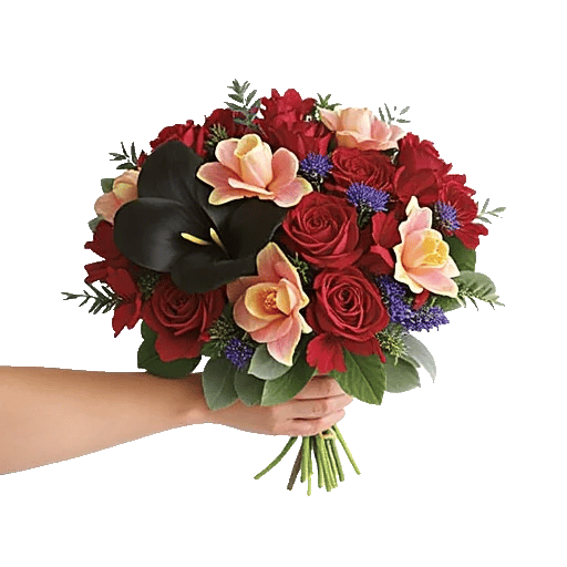 Elegant Calla Lilies