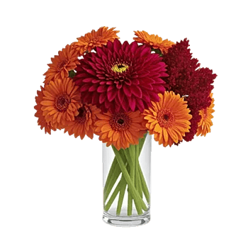 Crimson Blossom Harmony