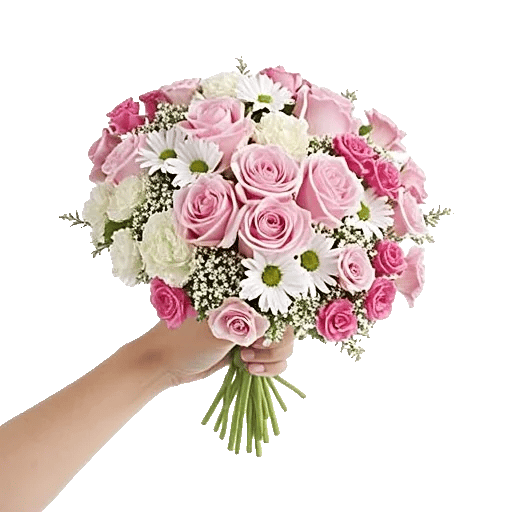 Pink Pastel Roses