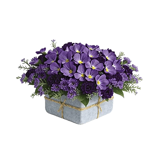 Lavender Fields Forever