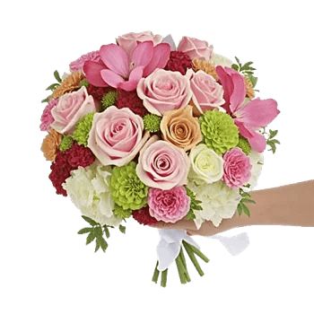 Pastel Pink Roses