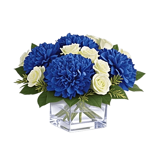 Elegant Blue Roses