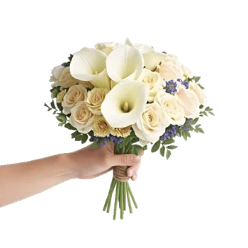 Elegant Calla Lilies