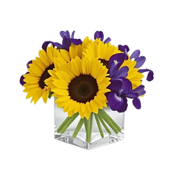 Amber Sunflower Glow