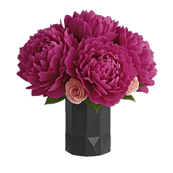 Petal Radiance Bliss