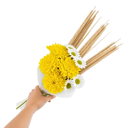 Delicate Petal Cascade