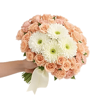 Petal Grace Harmony