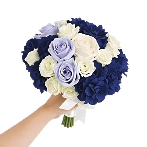 Serene Petal Harmony