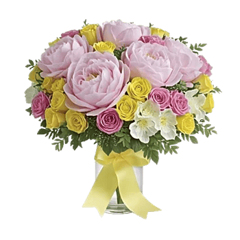 Petal Radiance Bliss