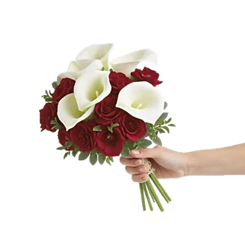 Elegant Calla Lilies