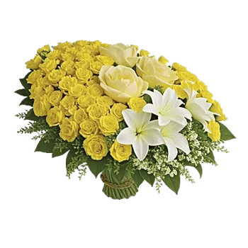 Ivory Blossom Radiance