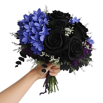 Serenity Blossom Grace