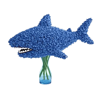 Sapphire Bloom Whisper