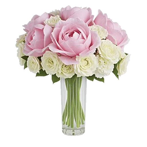 Petal Radiance Bliss