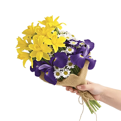 Ivory Blossom Radiance