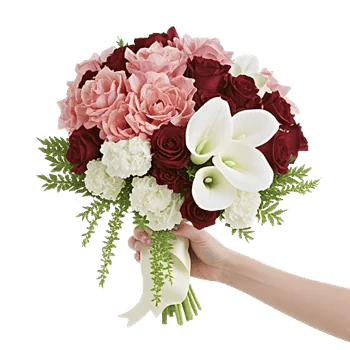 Blushing Rose Symphony