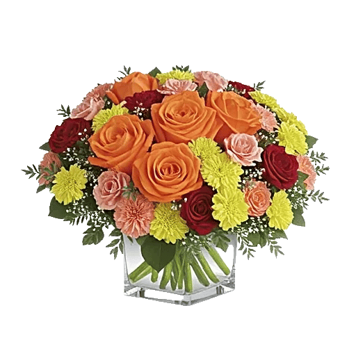 Petal Radiance Bliss