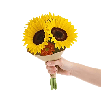 Twinkling Sunflower Dance