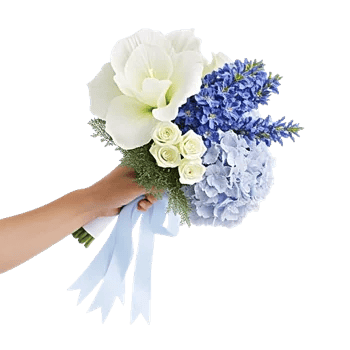 Delicate Petal Cascade