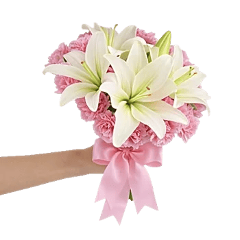 Blossom Harmony Display