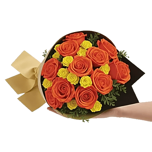 Radiant Rose Symphony