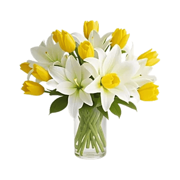 Velvet Tulip Display