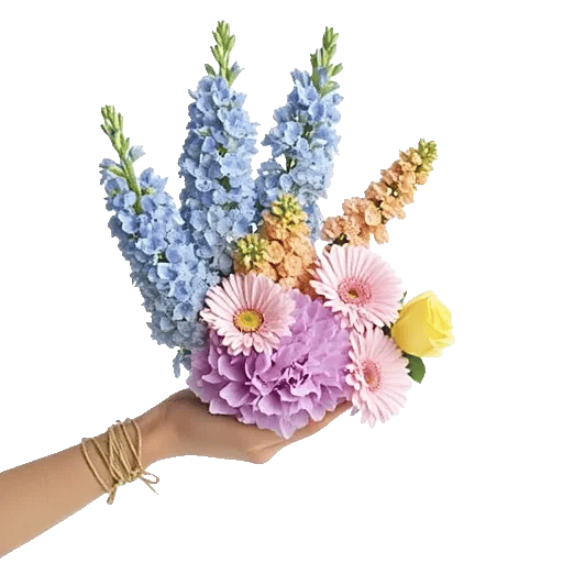 Serenity Blossom Grace