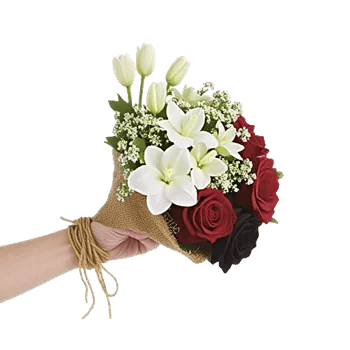 Modern White Orchids