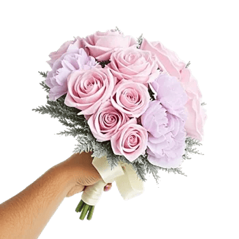 Pastel Pink Roses