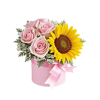 Blossom Radiant Whisper